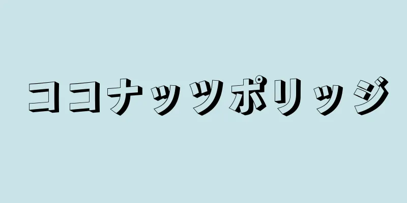 ココナッツポリッジ