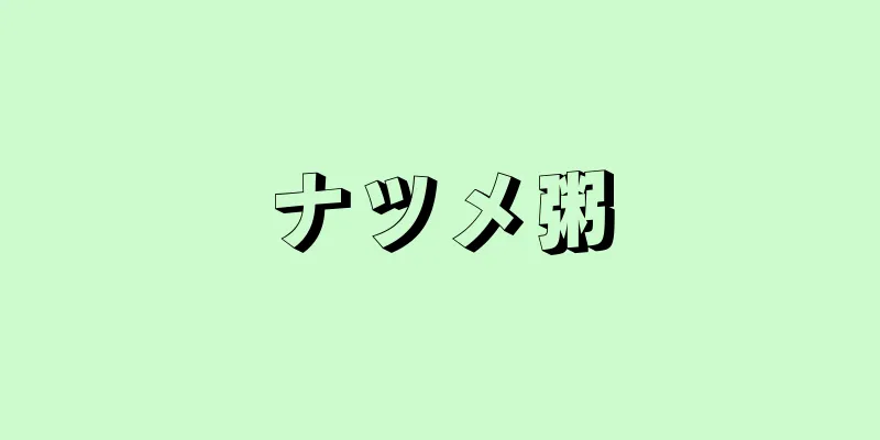 ナツメ粥