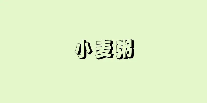 小麦粥