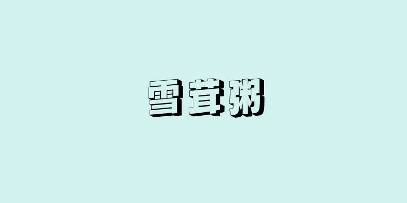雪茸粥