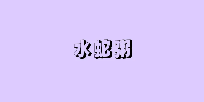水蛇粥