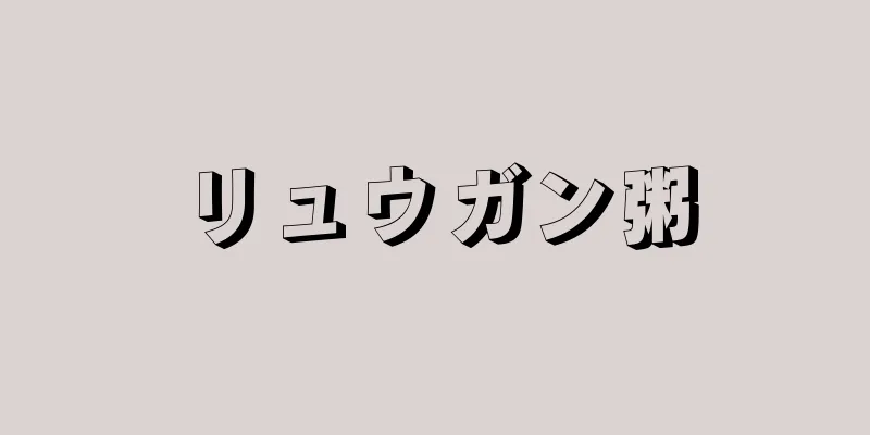 リュウガン粥