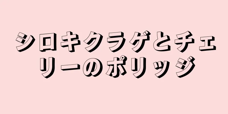 シロキクラゲとチェリーのポリッジ
