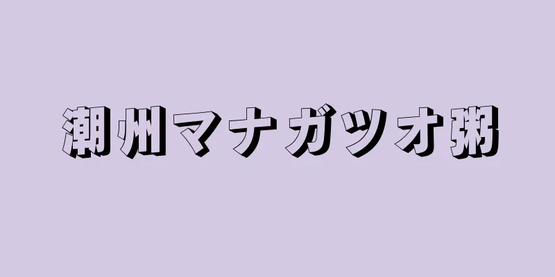 潮州マナガツオ粥