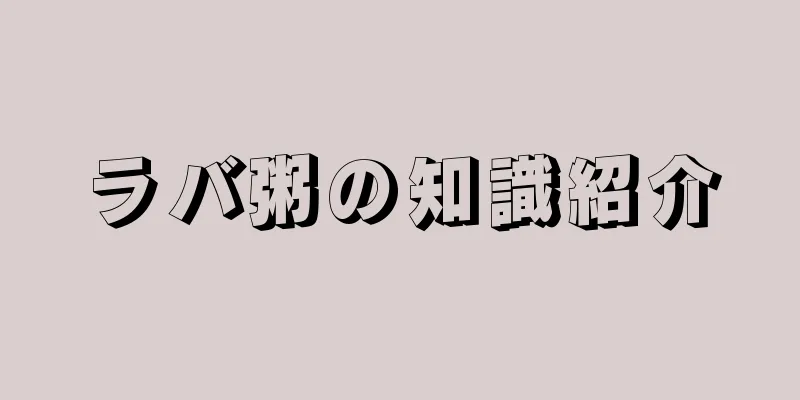 ラバ粥の知識紹介