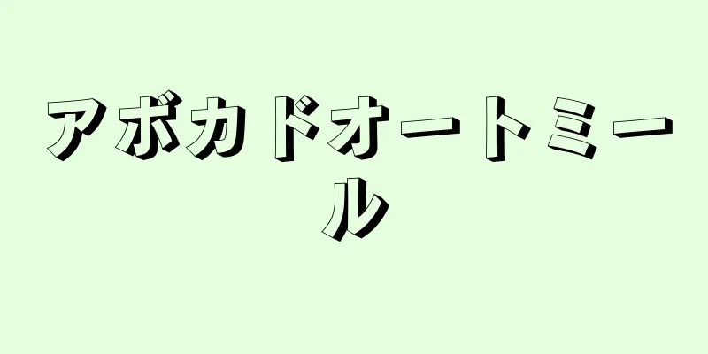 アボカドオートミール