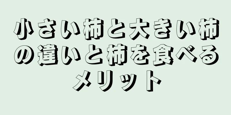 小さい柿と大きい柿の違いと柿を食べるメリット