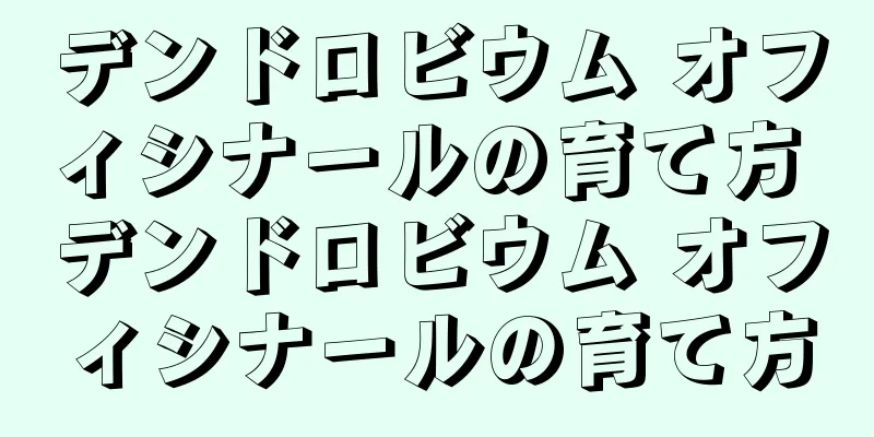 デンドロビウム オフィシナールの育て方 デンドロビウム オフィシナールの育て方