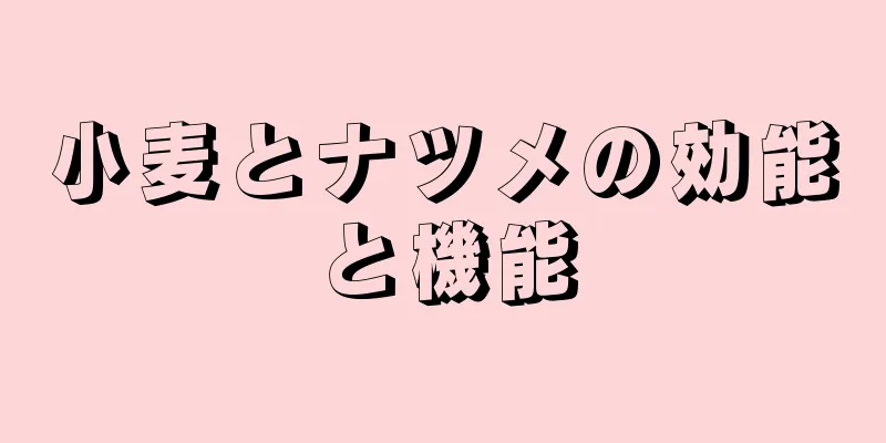小麦とナツメの効能と機能