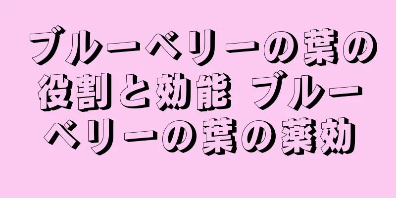 ブルーベリーの葉の役割と効能 ブルーベリーの葉の薬効