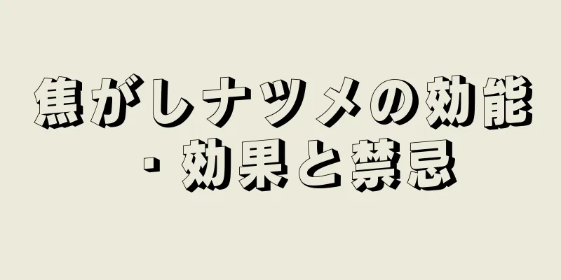 焦がしナツメの効能・効果と禁忌