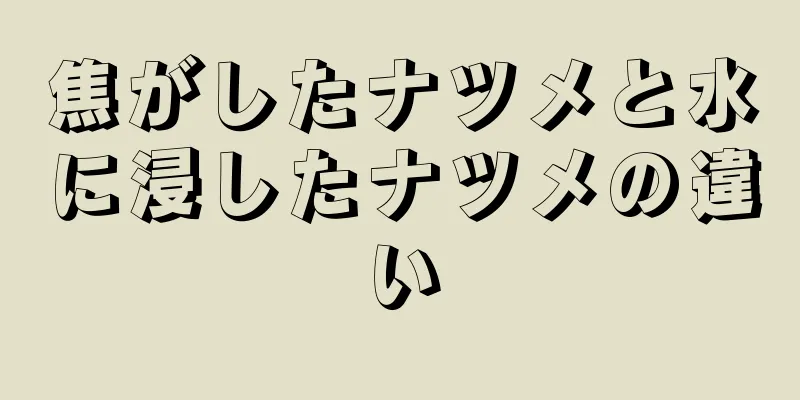 焦がしたナツメと水に浸したナツメの違い