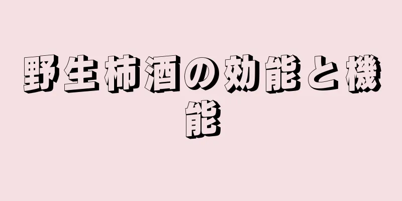 野生柿酒の効能と機能