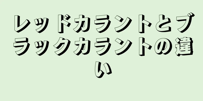レッドカラントとブラックカラントの違い