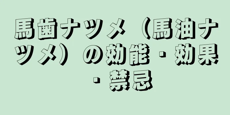 馬歯ナツメ（馬油ナツメ）の効能・効果・禁忌