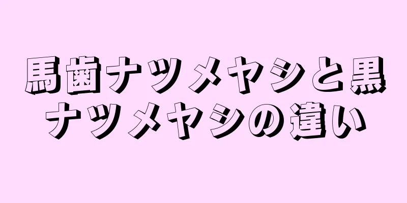 馬歯ナツメヤシと黒ナツメヤシの違い