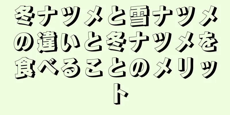 冬ナツメと雪ナツメの違いと冬ナツメを食べることのメリット