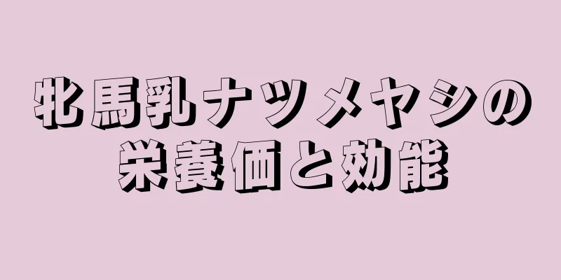 牝馬乳ナツメヤシの栄養価と効能