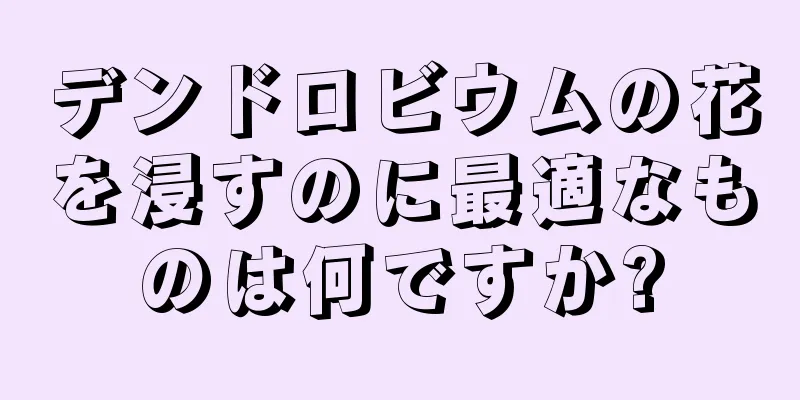 デンドロビウムの花を浸すのに最適なものは何ですか?