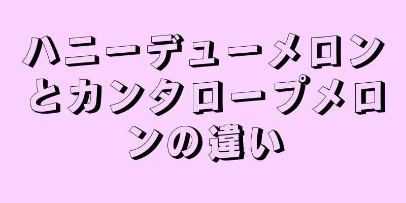 ハニーデューメロンとカンタロープメロンの違い