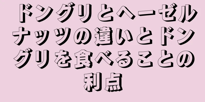 ドングリとヘーゼルナッツの違いとドングリを食べることの利点