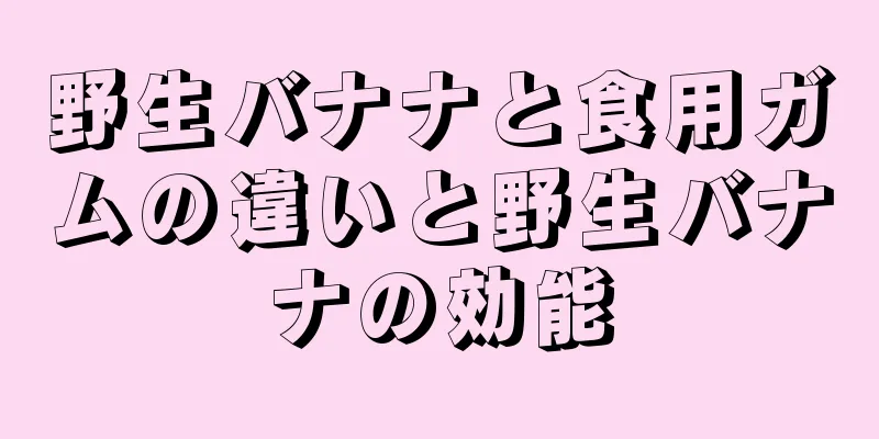 野生バナナと食用ガムの違いと野生バナナの効能