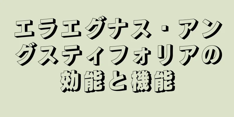 エラエグナス・アングスティフォリアの効能と機能