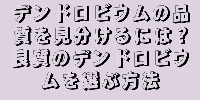 デンドロビウムの品質を見分けるには？良質のデンドロビウムを選ぶ方法