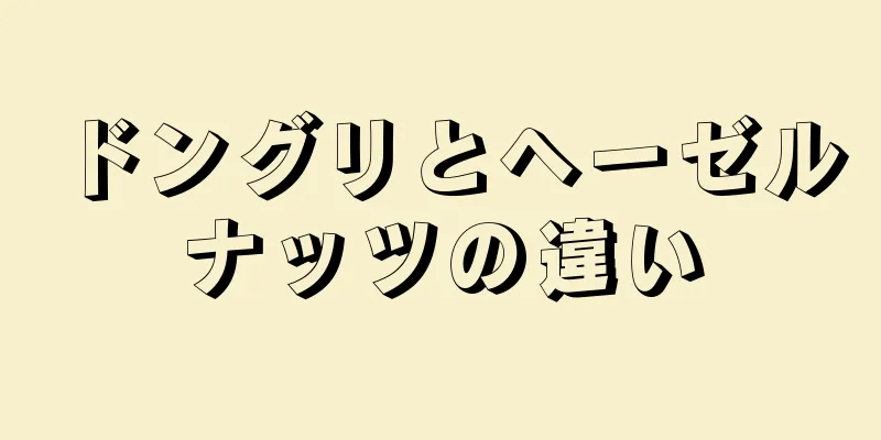 ドングリとヘーゼルナッツの違い
