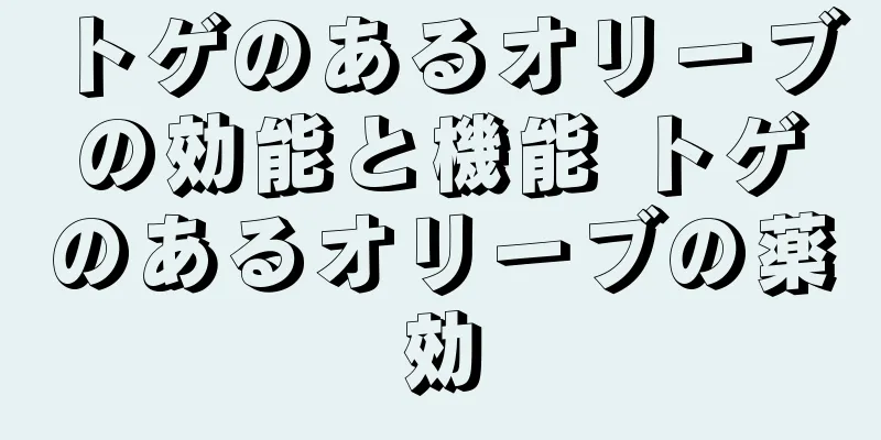 トゲのあるオリーブの効能と機能 トゲのあるオリーブの薬効
