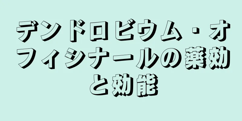 デンドロビウム・オフィシナールの薬効と効能