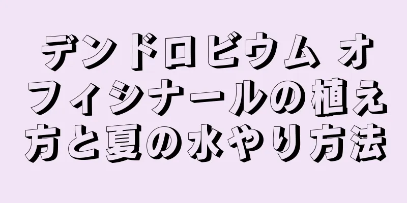 デンドロビウム オフィシナールの植え方と夏の水やり方法