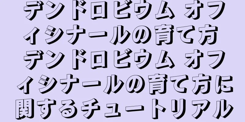 デンドロビウム オフィシナールの育て方 デンドロビウム オフィシナールの育て方に関するチュートリアル