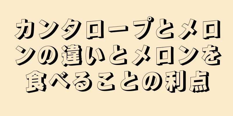カンタロープとメロンの違いとメロンを食べることの利点