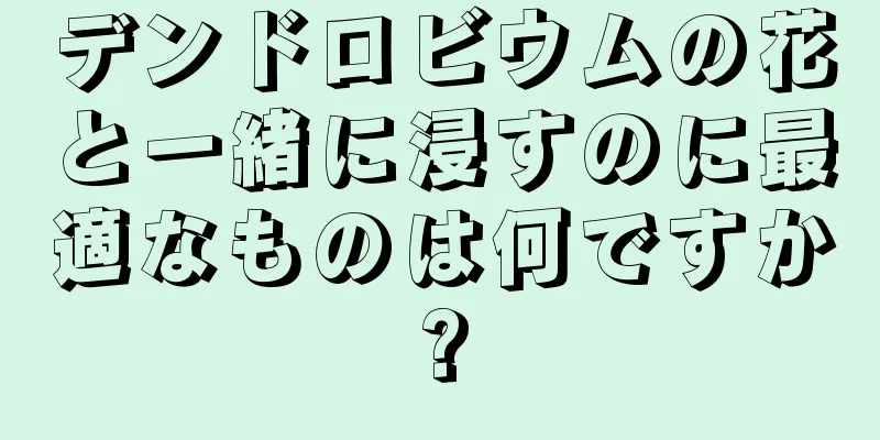 デンドロビウムの花と一緒に浸すのに最適なものは何ですか?