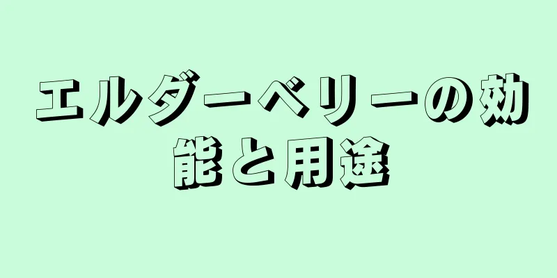 エルダーベリーの効能と用途