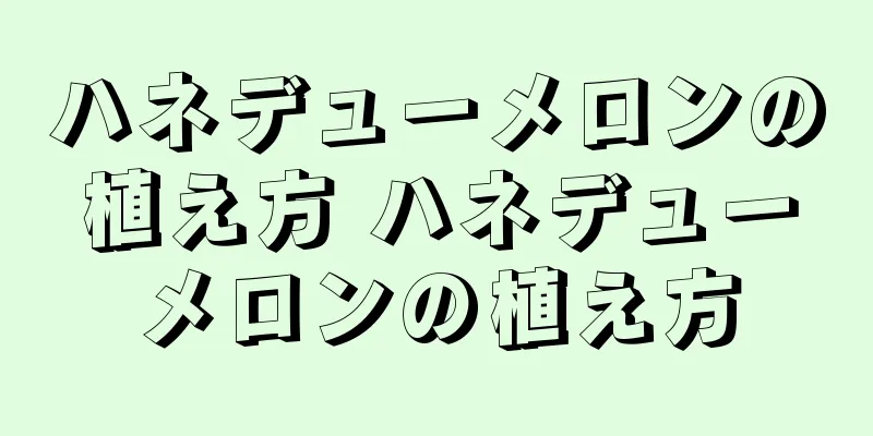 ハネデューメロンの植え方 ハネデューメロンの植え方