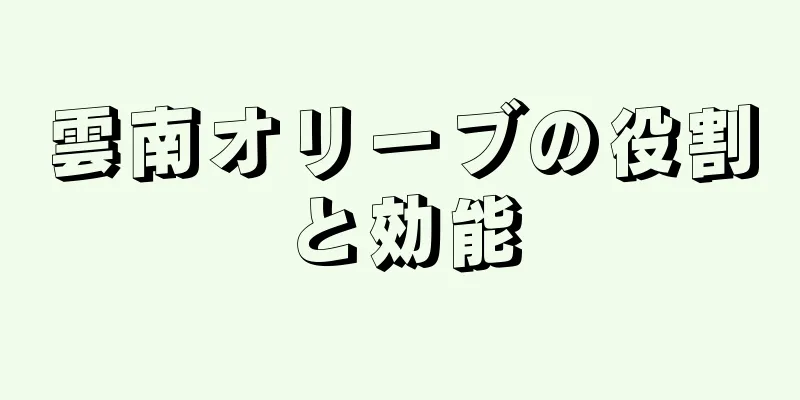雲南オリーブの役割と効能