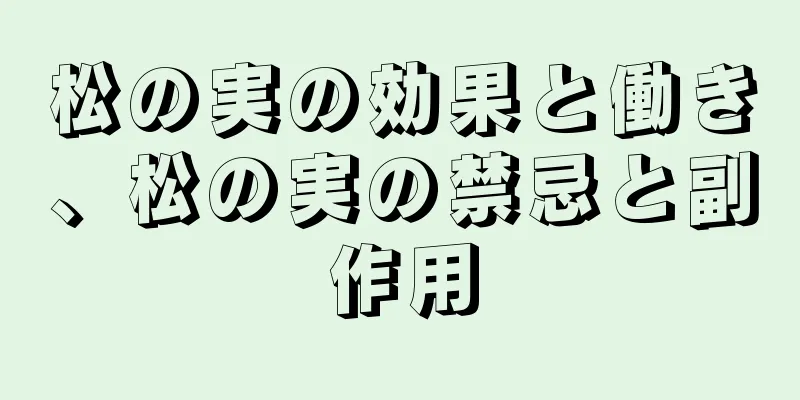 松の実の効果と働き、松の実の禁忌と副作用