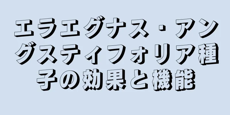 エラエグナス・アングスティフォリア種子の効果と機能