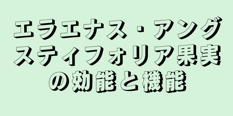 エラエナス・アングスティフォリア果実の効能と機能