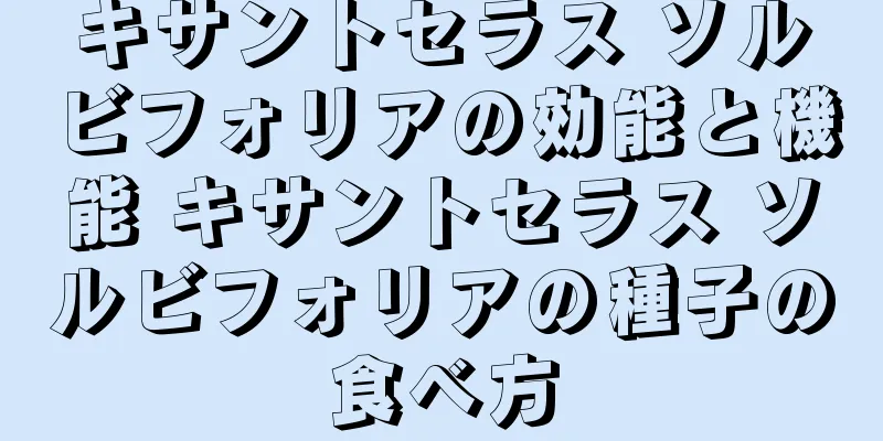 キサントセラス ソルビフォリアの効能と機能 キサントセラス ソルビフォリアの種子の食べ方
