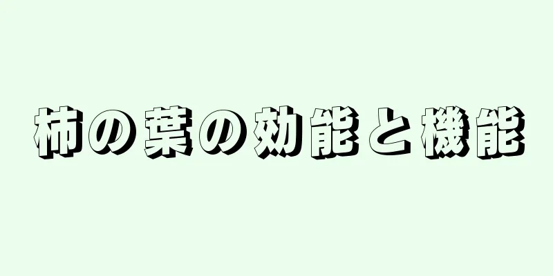 柿の葉の効能と機能