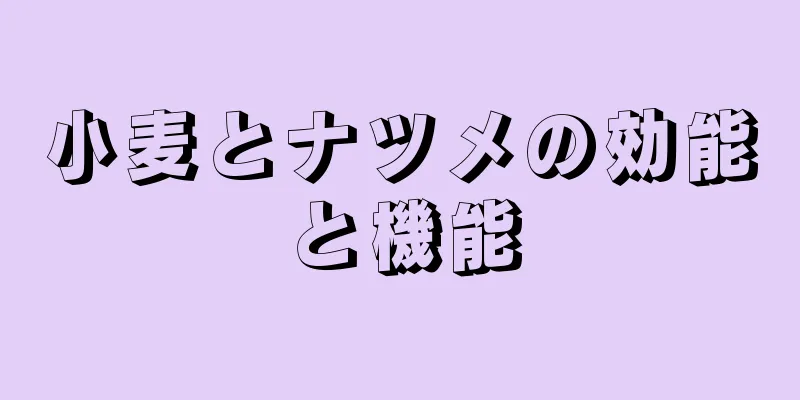 小麦とナツメの効能と機能