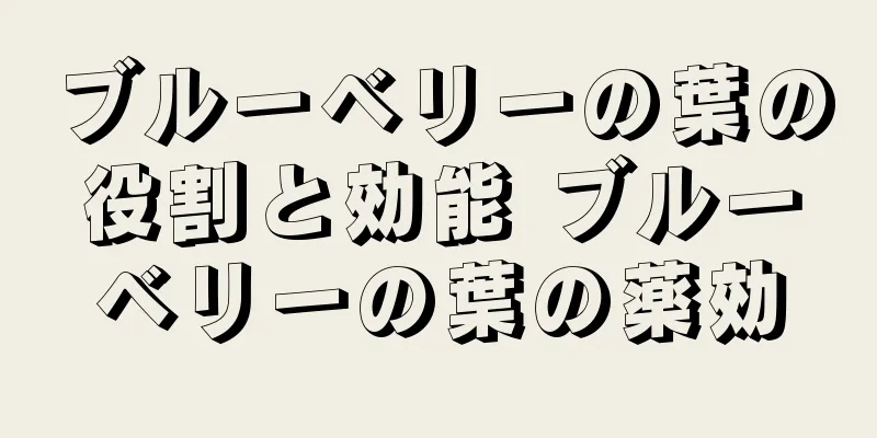 ブルーベリーの葉の役割と効能 ブルーベリーの葉の薬効