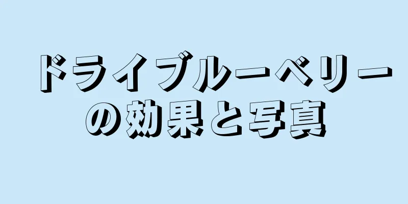 ドライブルーベリーの効果と写真