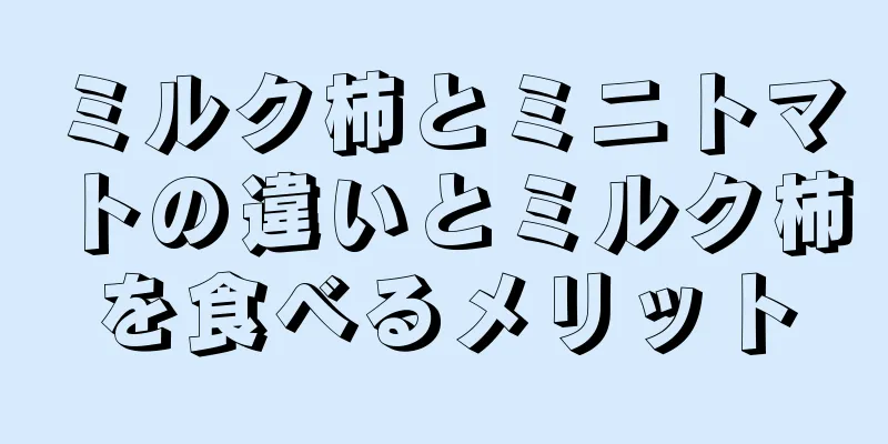 ミルク柿とミニトマトの違いとミルク柿を食べるメリット