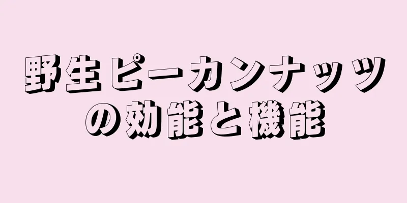 野生ピーカンナッツの効能と機能