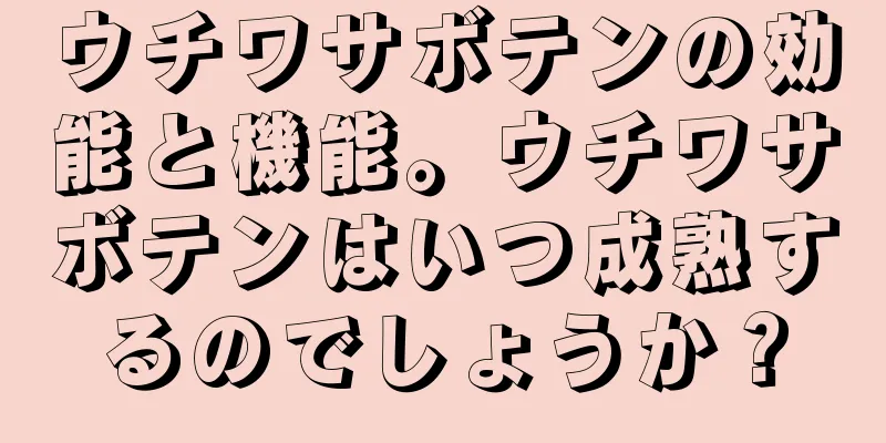 ウチワサボテンの効能と機能。ウチワサボテンはいつ成熟するのでしょうか？