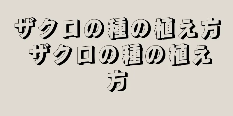 ザクロの種の植え方 ザクロの種の植え方